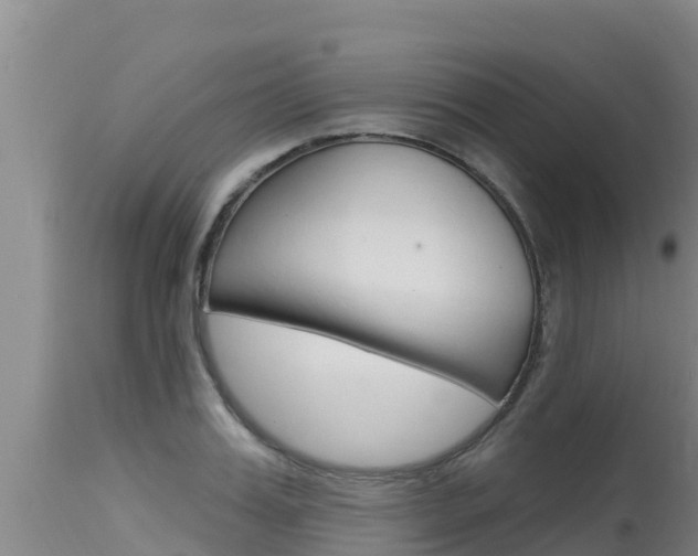 X0000115770987200911131018