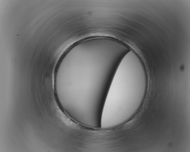 X0000115770988200911131017