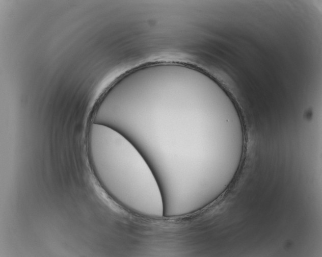 X0000115770990200911131017