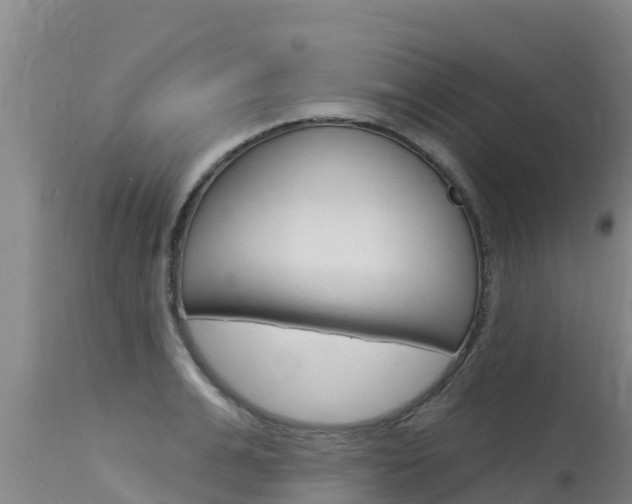 X0000115770991200911131017