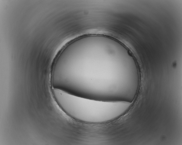X0000115770992200911131017