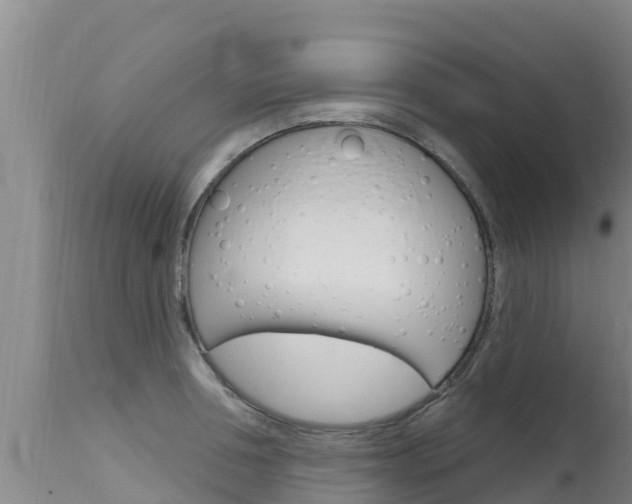 X0000115770994200911131017