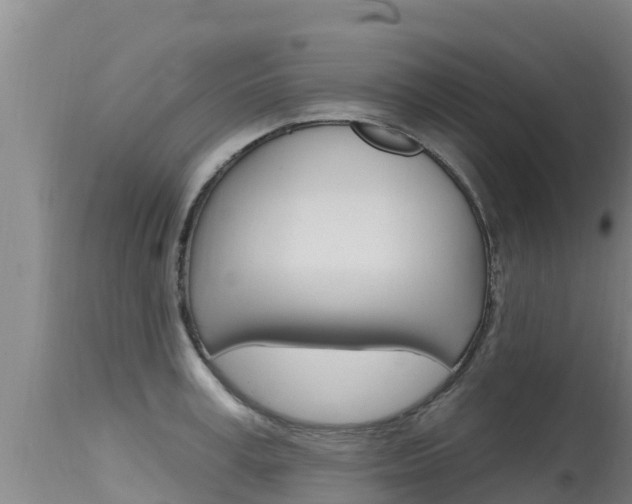 X0000115770995200911131017
