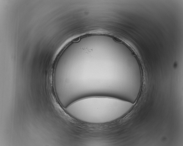 X0000115771000200911131017