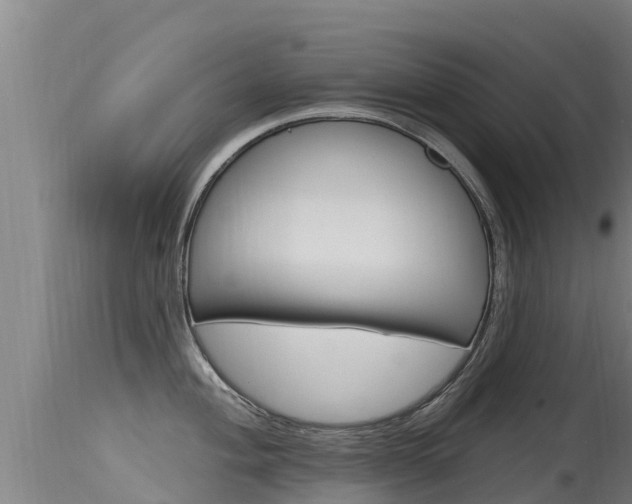 X0000115771004200911131017