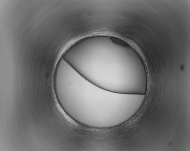X0000115771005200911131017