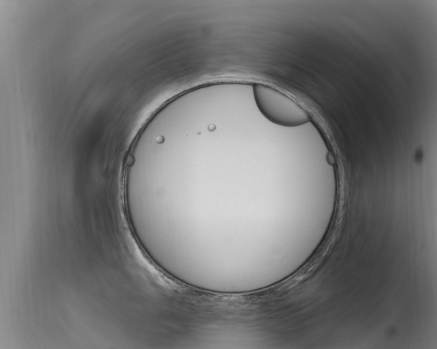 X0000115771006200911131017