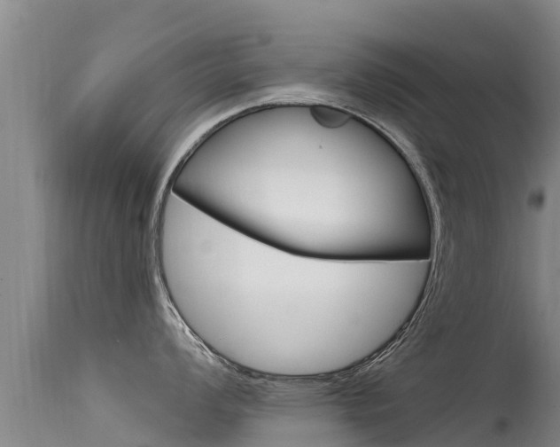 X0000115771008200911131017