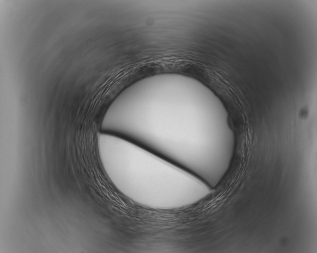 X0000115771010200911131017
