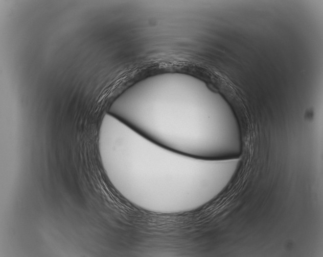 X0000115771012200911131017