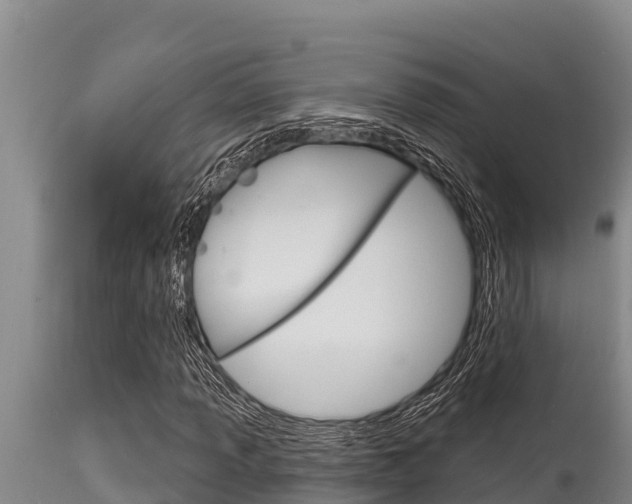 X0000115771013200911131017