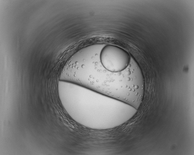 X0000115771014200911131017