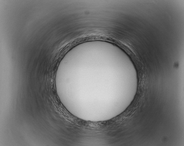 X0000115771015200911131017