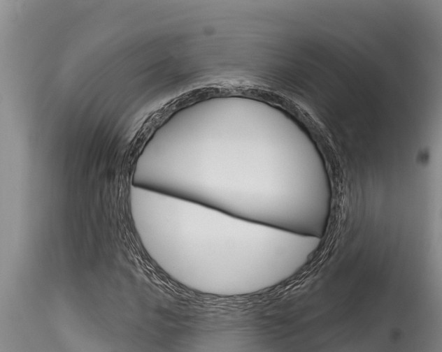 X0000115771016200911131017