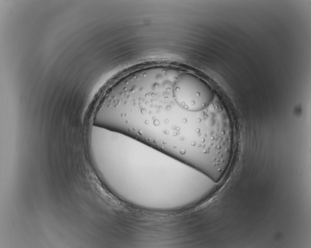 X0000115771022200911131017