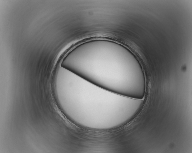 X0000115771024200911131017