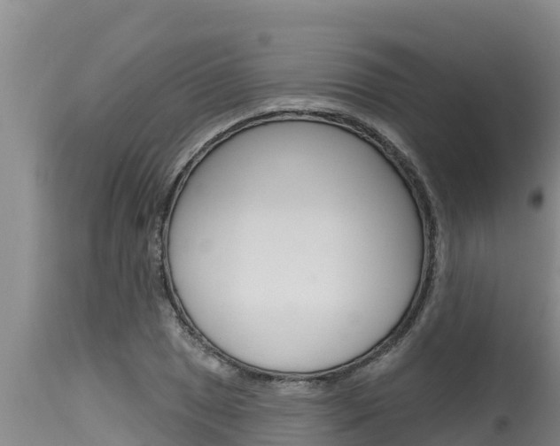 X0000115771025200911131017