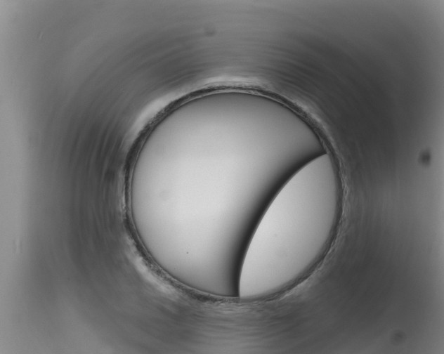 X0000115771030200911131017