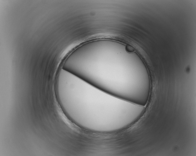 X0000115771034200911131017