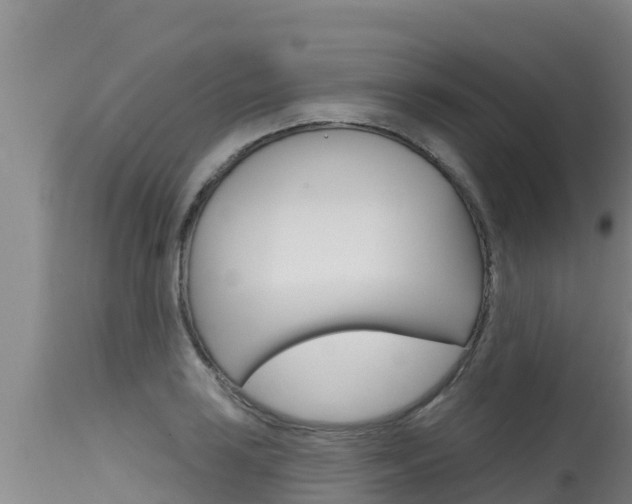 X0000115771035200911131017