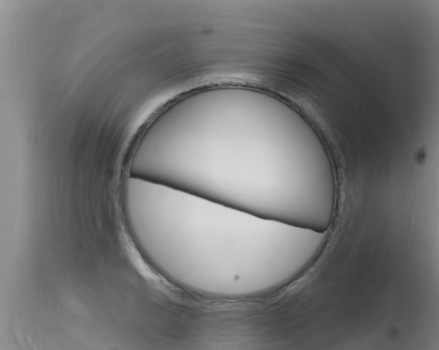 X0000115771038200911131017