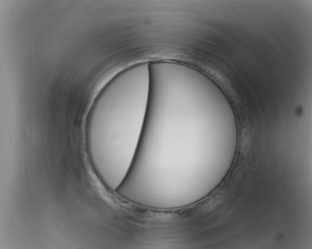 X0000115771039200911131017