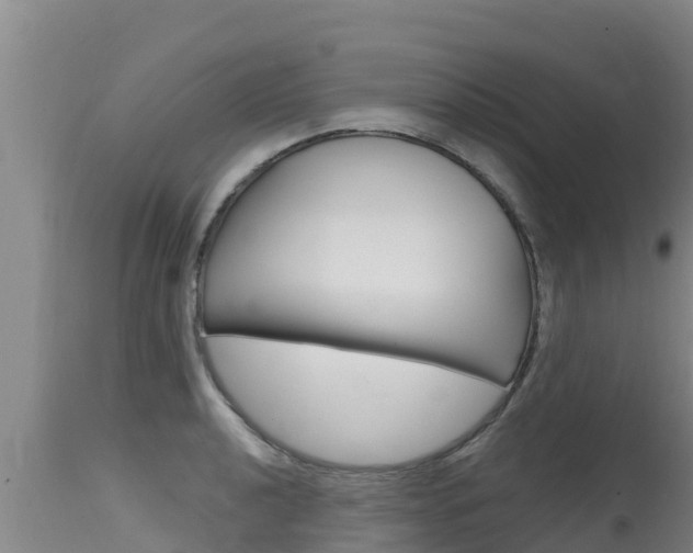 X0000115771040200911131017