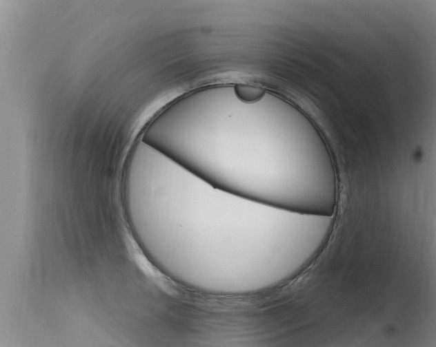 X0000115771042200911131017
