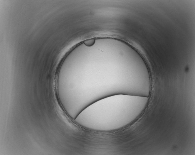 X0000115771043200911131017