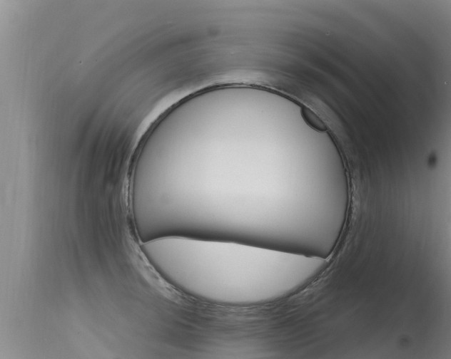 X0000115771044200911131017