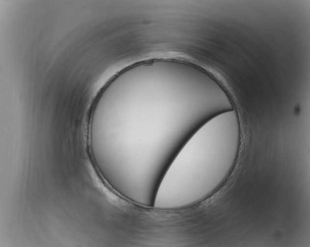 X0000115771046200911131017