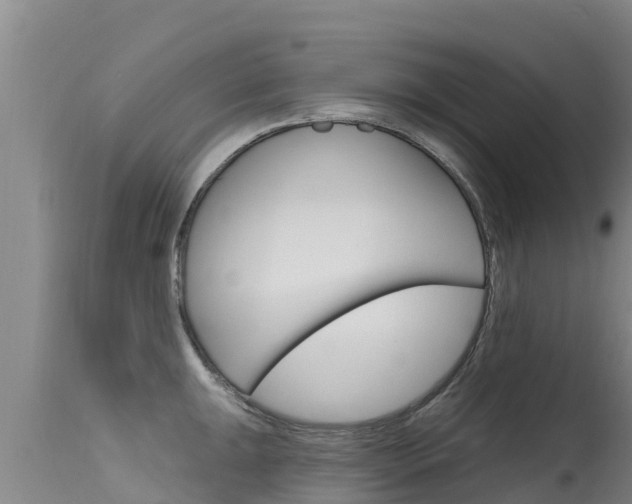 X0000115771047200911131017