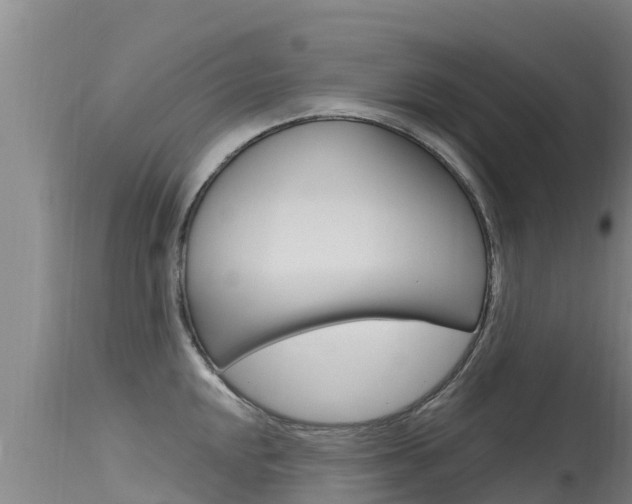 X0000115771048200911131017