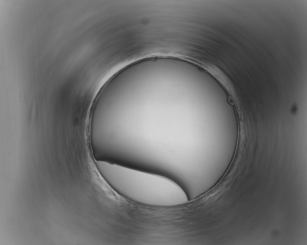 X0000115771052200911131017