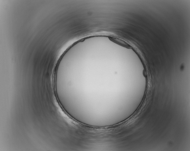 X0000115771054200911131017