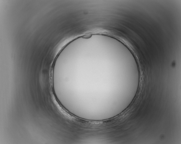 X0000115771055200911131017