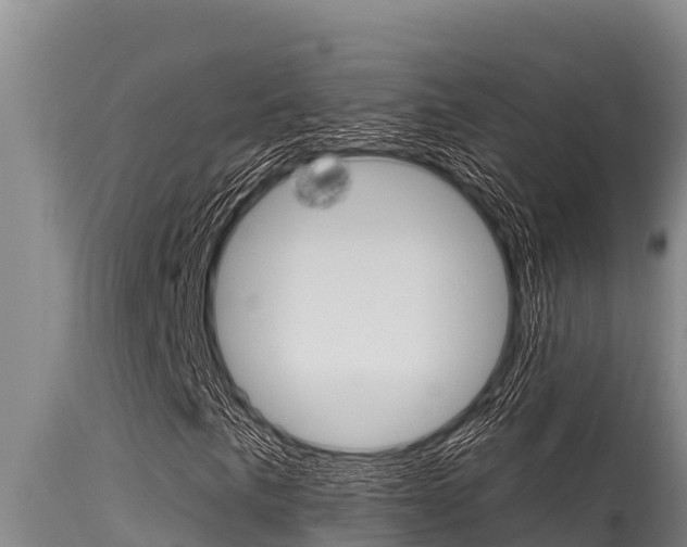 X0000115771057200911131017