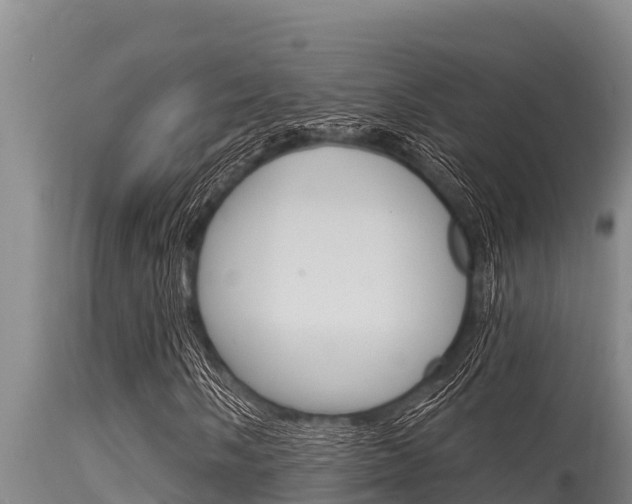 X0000115771058200911131017