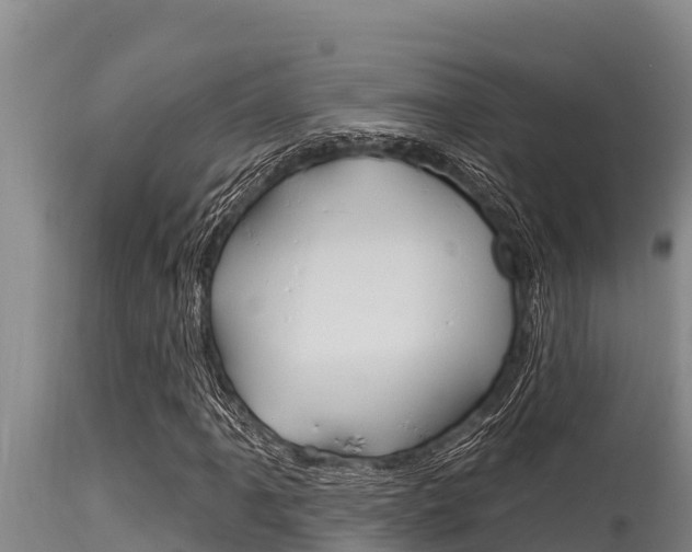 X0000115771061200911131016