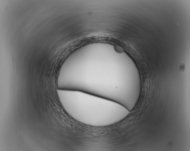 X0000115771062200911131016