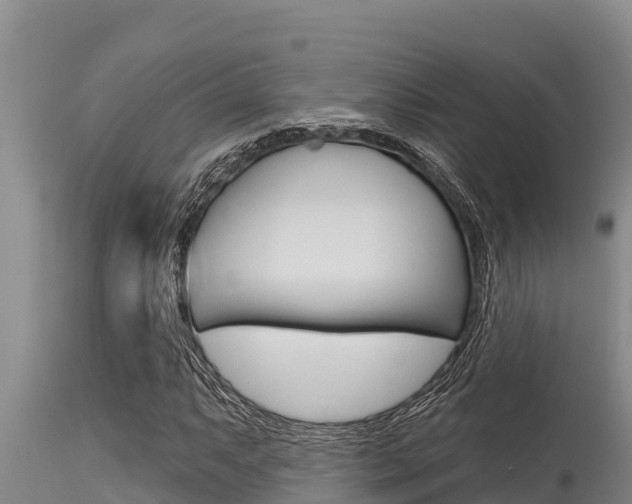 X0000115771063200911131016