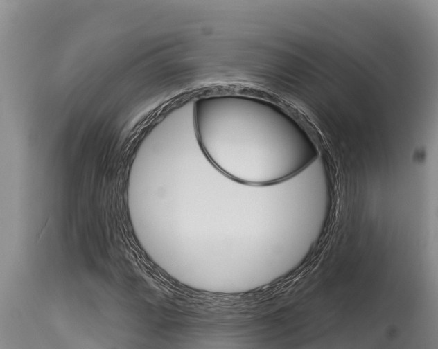 X0000115771064200911131016