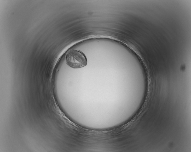 X0000115771068200911131016