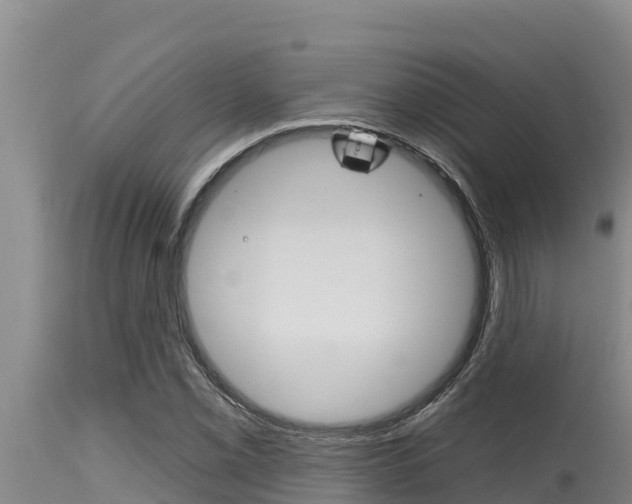 X0000115771069200911131016