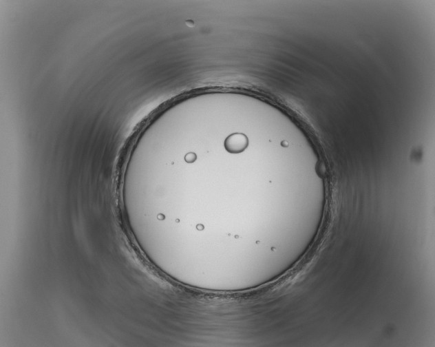 X0000115771071200911131016