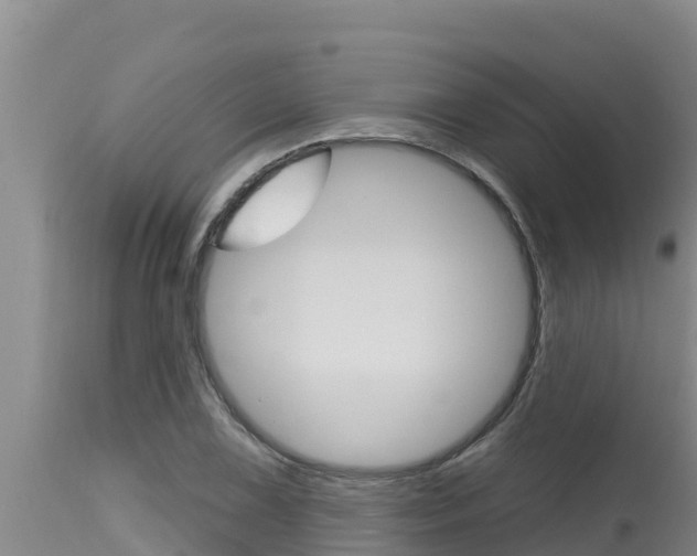 X0000115771075200911131016