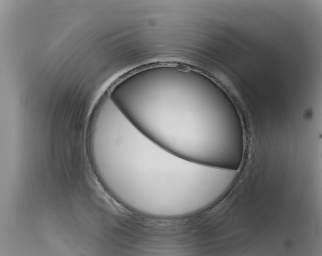 X0000115771076200911131016