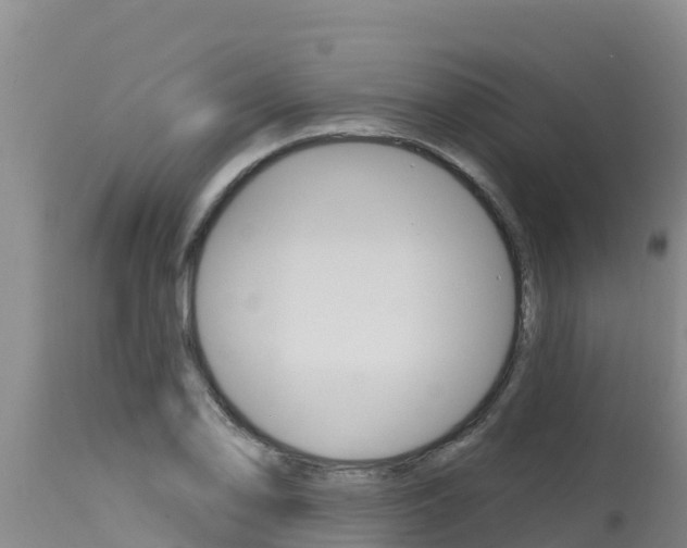 X0000115771078200911131016