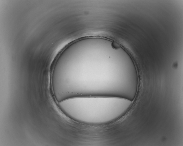 X0000115771079200911131016