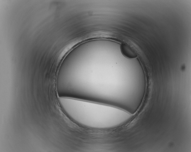 X0000115771081200911131016